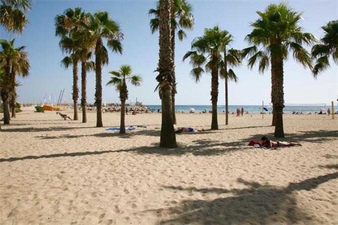 Sun And Beach Lovers 12019 La Pineda Kültér fotó