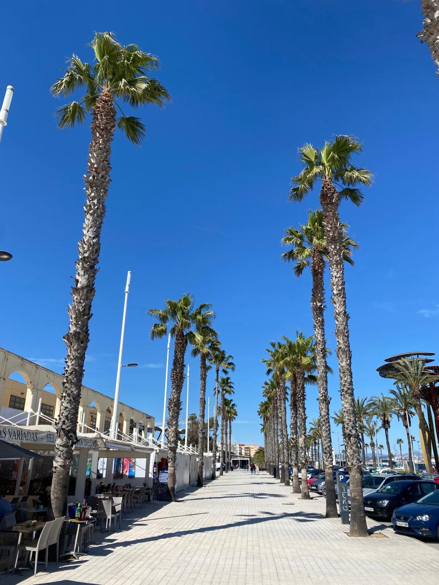 Sun And Beach Lovers 12019 La Pineda Kültér fotó